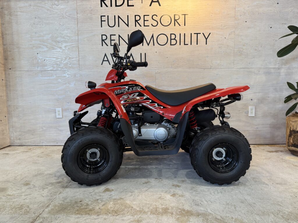 Mini Buggy