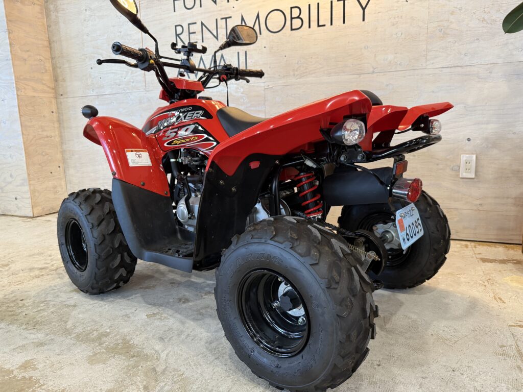 Mini Buggy