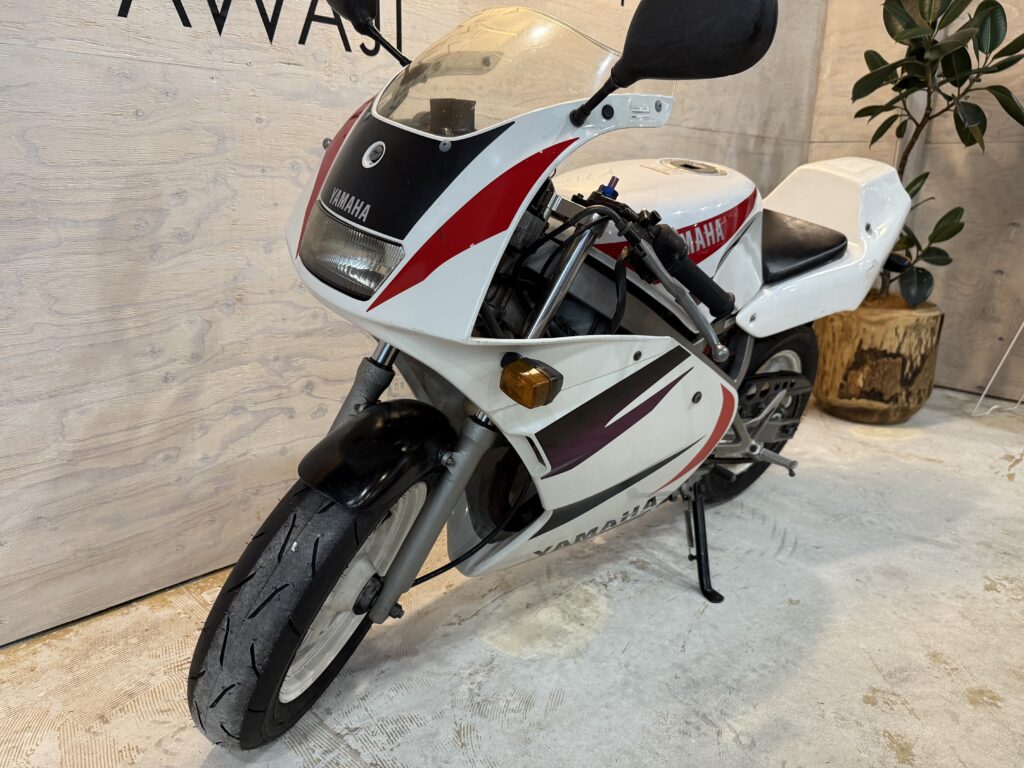 Mini Bike